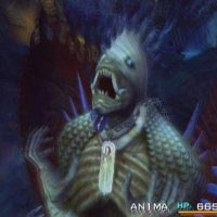 anima2.jpg